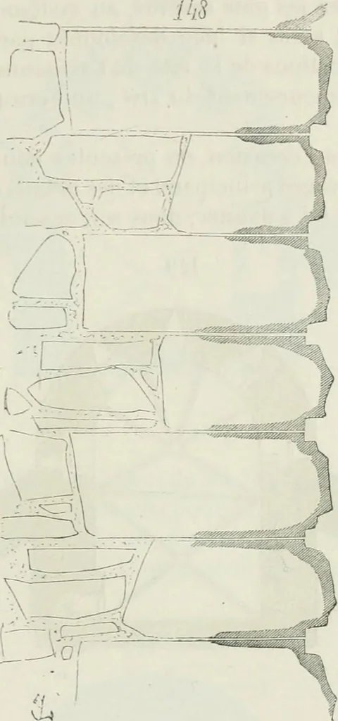 An illustration from Dictionnaire raisonné de l'architecture française du XIe au XVIe siècle, 1875, leaf 280