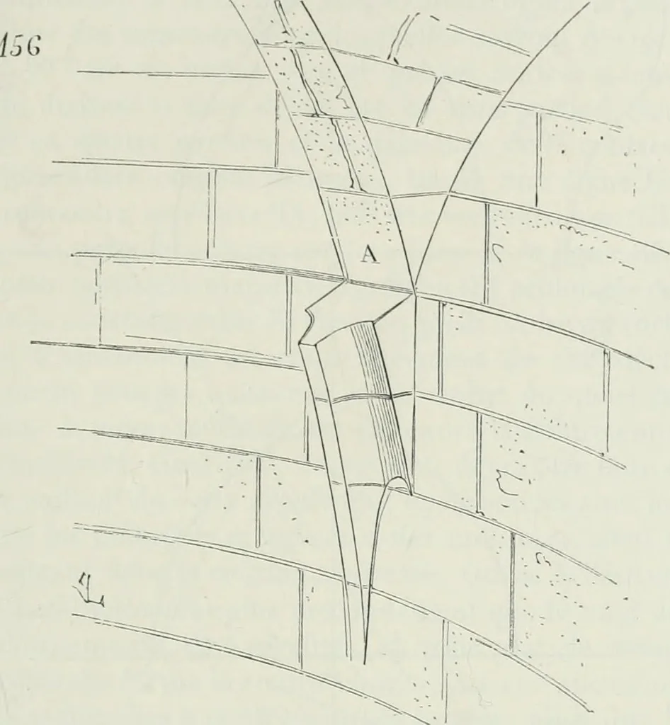 An illustration from Dictionnaire raisonné de l'architecture française du XIe au XVIe siècle, 1875, leaf 288