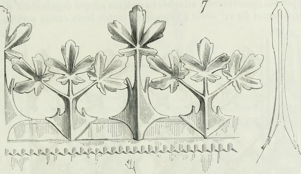 An illustration from Dictionnaire raisonné de l'architecture française du XIe au XVIe siècle, 1875, leaf 406