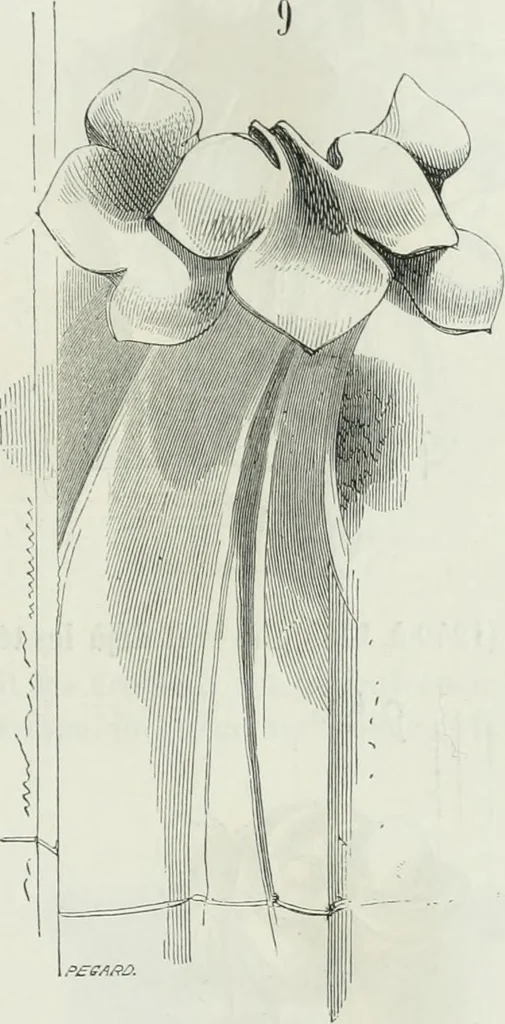 An illustration from Dictionnaire raisonné de l'architecture française du XIe au XVIe siècle, 1875, leaf 418