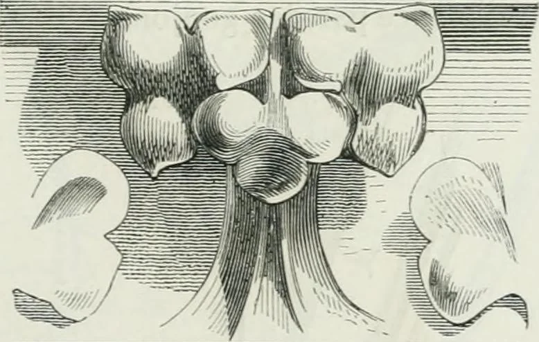 An illustration from Dictionnaire raisonné de l'architecture française du XIe au XVIe siècle, 1875, leaf 420