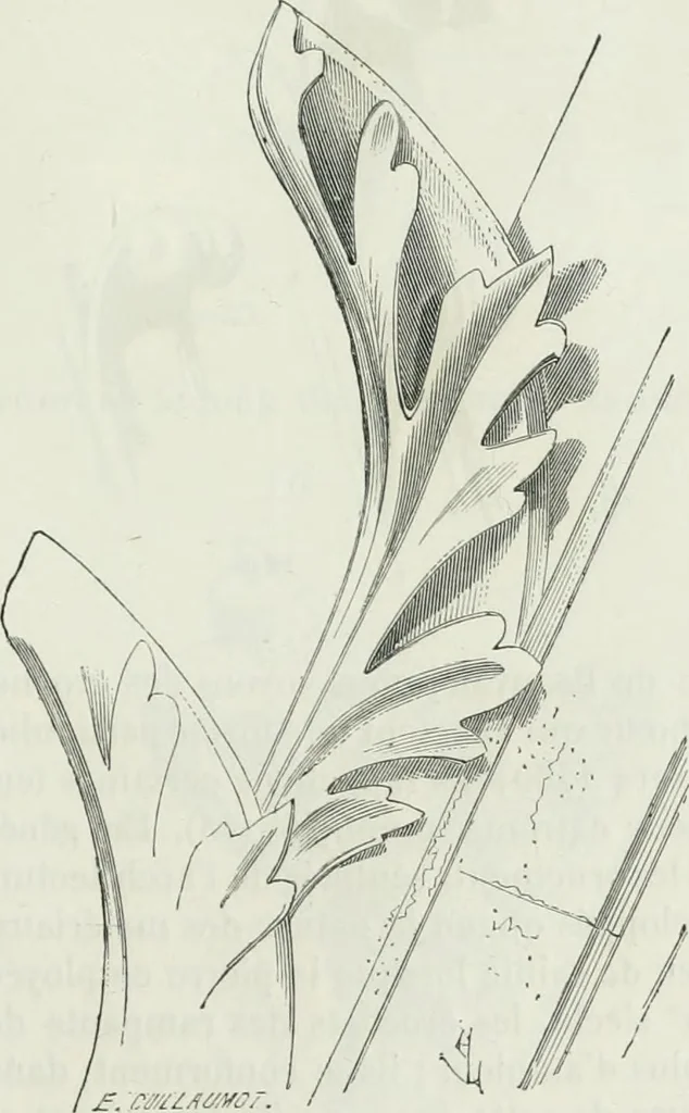 An illustration from Dictionnaire raisonné de l'architecture française du XIe au XVIe siècle, 1875, leaf 422