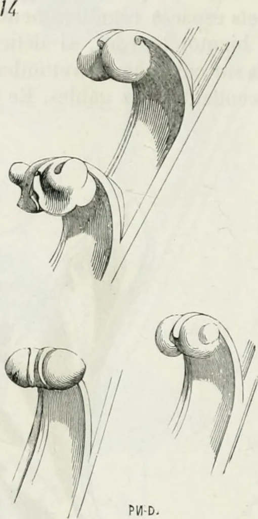 An illustration from Dictionnaire raisonné de l'architecture française du XIe au XVIe siècle, 1875, leaf 423