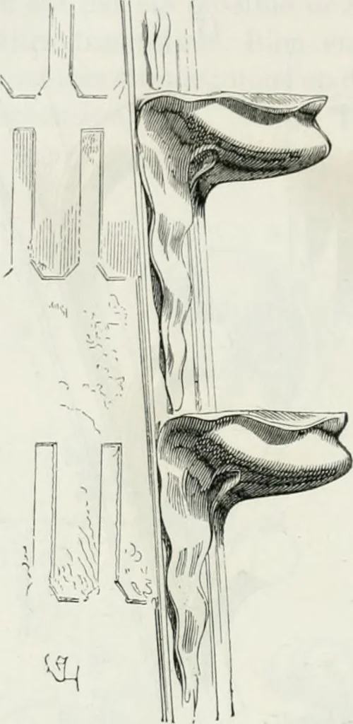 An illustration from Dictionnaire raisonné de l'architecture française du XIe au XVIe siècle, 1875, leaf 425