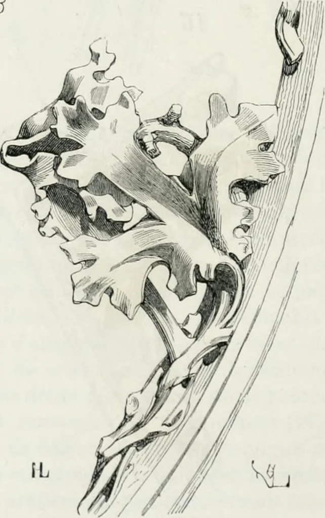 An illustration from Dictionnaire raisonné de l'architecture française du XIe au XVIe siècle, 1875, leaf 425