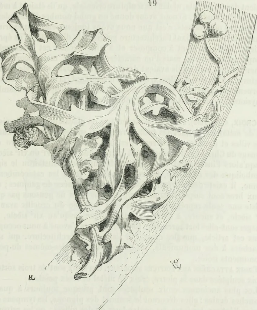 An illustration from Dictionnaire raisonné de l'architecture française du XIe au XVIe siècle, 1875, leaf 426