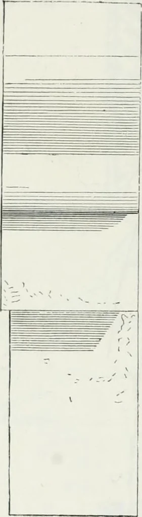 An illustration from Dictionnaire raisonné de l'architecture française du XIe au XVIe siècle, 1875, leaf 431