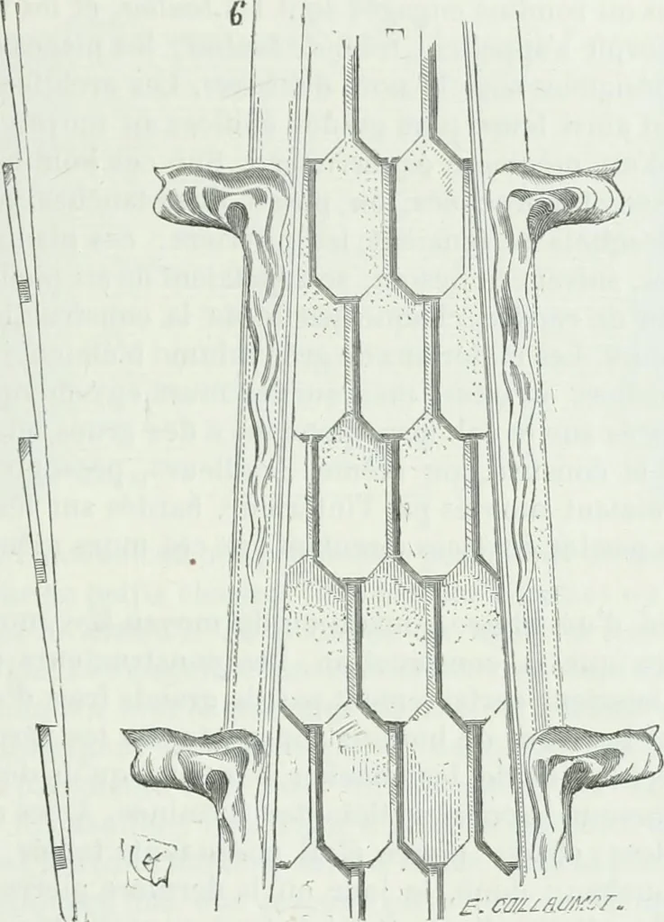 An illustration from Dictionnaire raisonné de l'architecture française du XIe au XVIe siècle, 1875, leaf 112