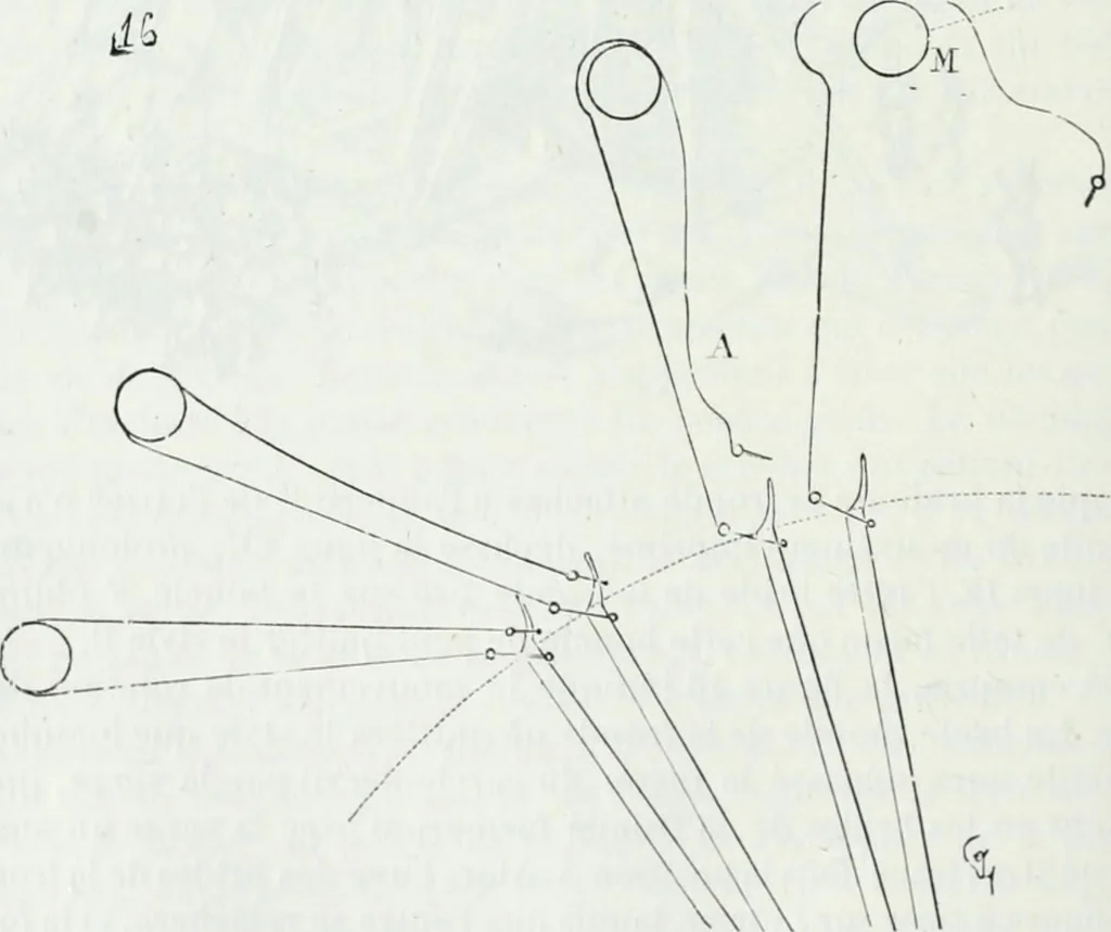 An illustration from Dictionnaire raisonné de l'architecture française du XIe au XVIe siècle, 1875, leaf 247