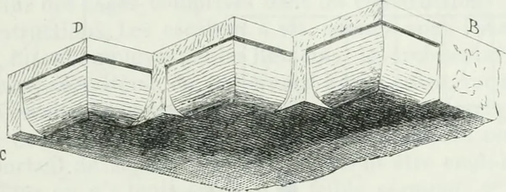 An illustration from Dictionnaire raisonné de l'architecture française du XIe au XVIe siècle, 1875, leaf 302