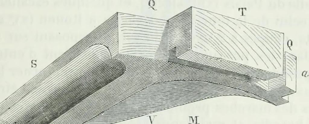 An illustration from Dictionnaire raisonné de l'architecture française du XIe au XVIe siècle, 1875, leaf 336