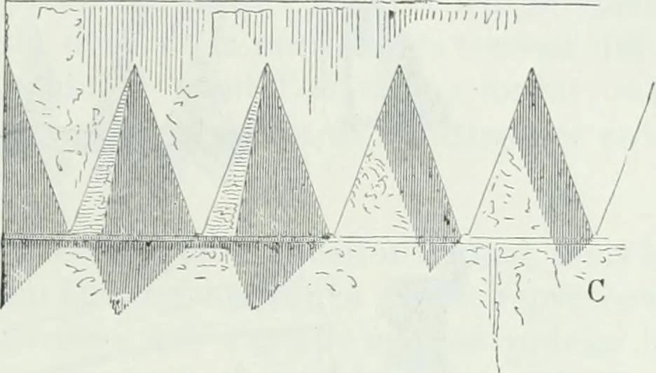 An illustration from Dictionnaire raisonné de l'architecture française du XIe au XVIe siècle, 1875, leaf 36