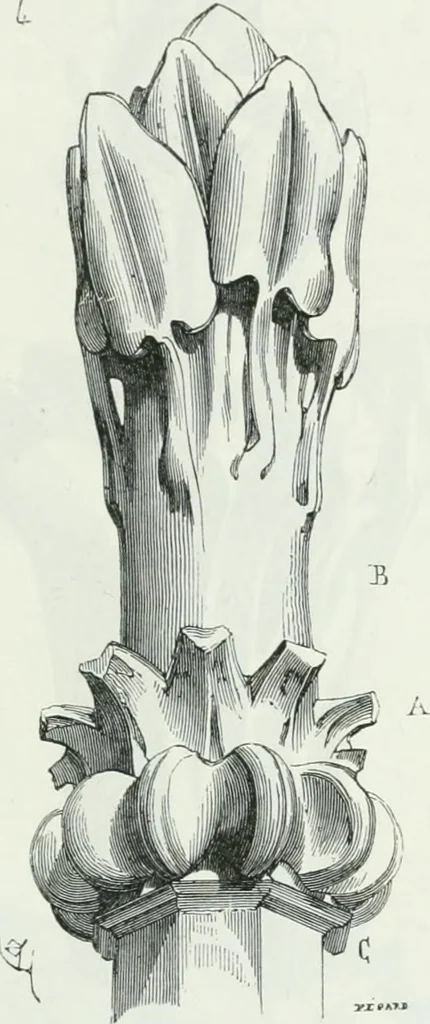 An illustration from Dictionnaire raisonné de l'architecture française du XIe au XVIe siècle, 1875, leaf 484
