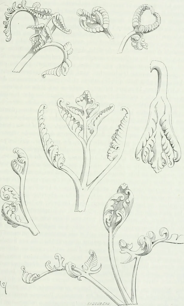 An illustration from Dictionnaire raisonné de l'architecture française du XIe au XVIe siècle, 1875, leaf 496