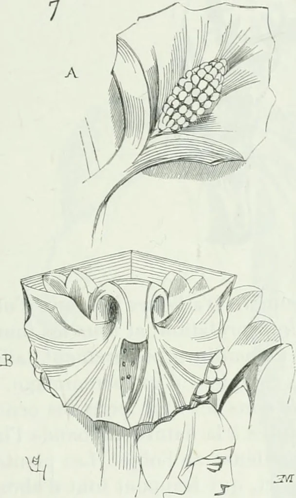 An illustration from Dictionnaire raisonné de l'architecture française du XIe au XVIe siècle, 1875, leaf 502