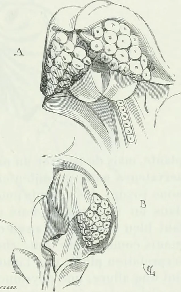 An illustration from Dictionnaire raisonné de l'architecture française du XIe au XVIe siècle, 1875, leaf 502