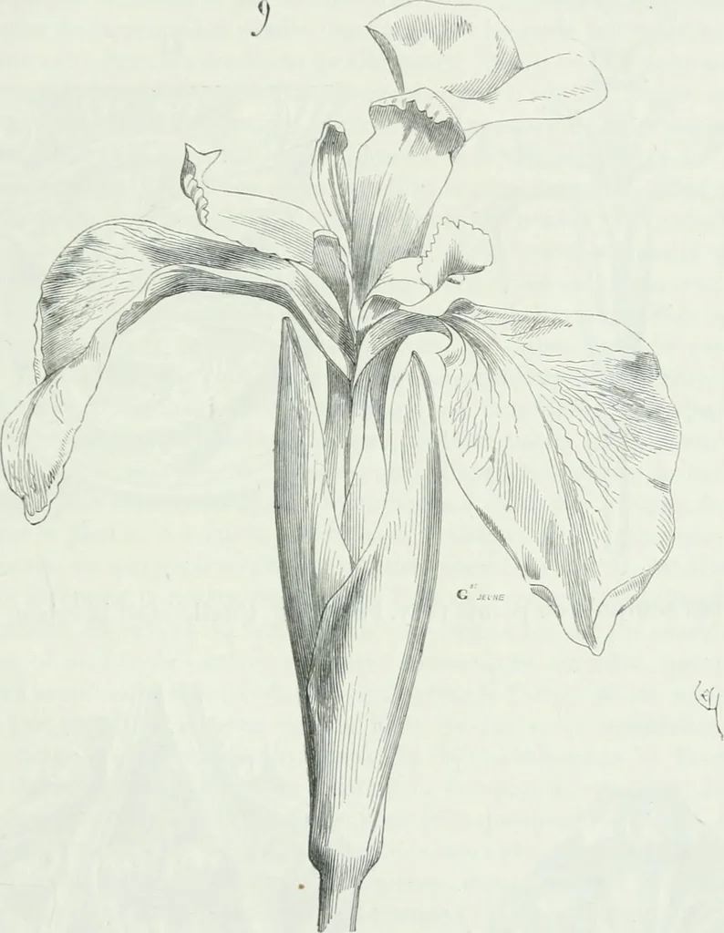 An illustration from Dictionnaire raisonné de l'architecture française du XIe au XVIe siècle, 1875, leaf 504