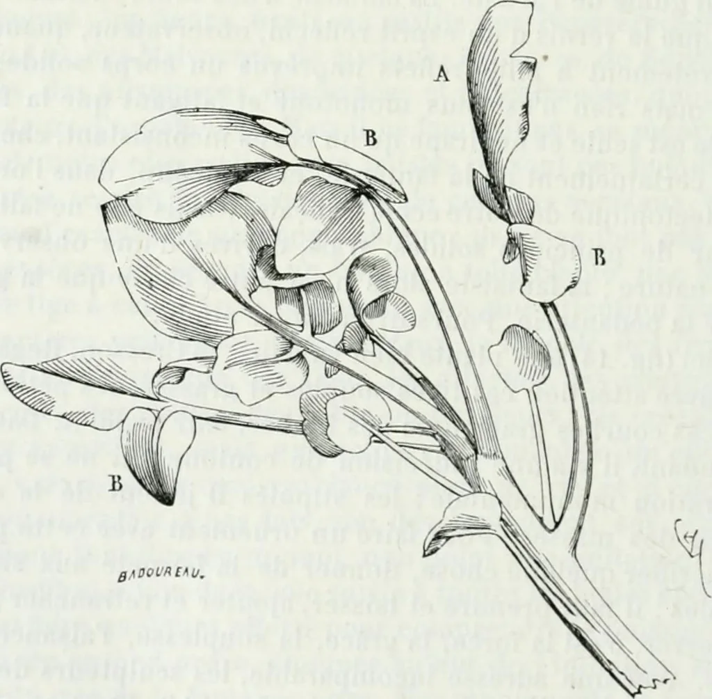 An illustration from Dictionnaire raisonné de l'architecture française du XIe au XVIe siècle, 1875, leaf 509