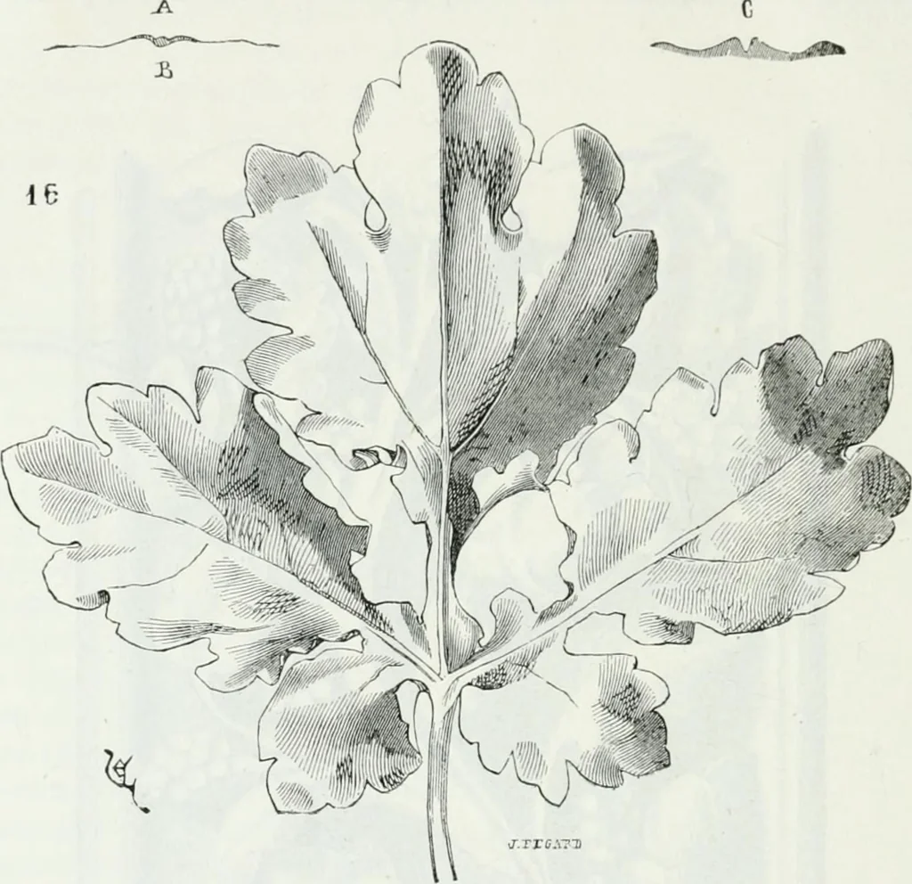 An illustration from Dictionnaire raisonné de l'architecture française du XIe au XVIe siècle, 1875, leaf 511