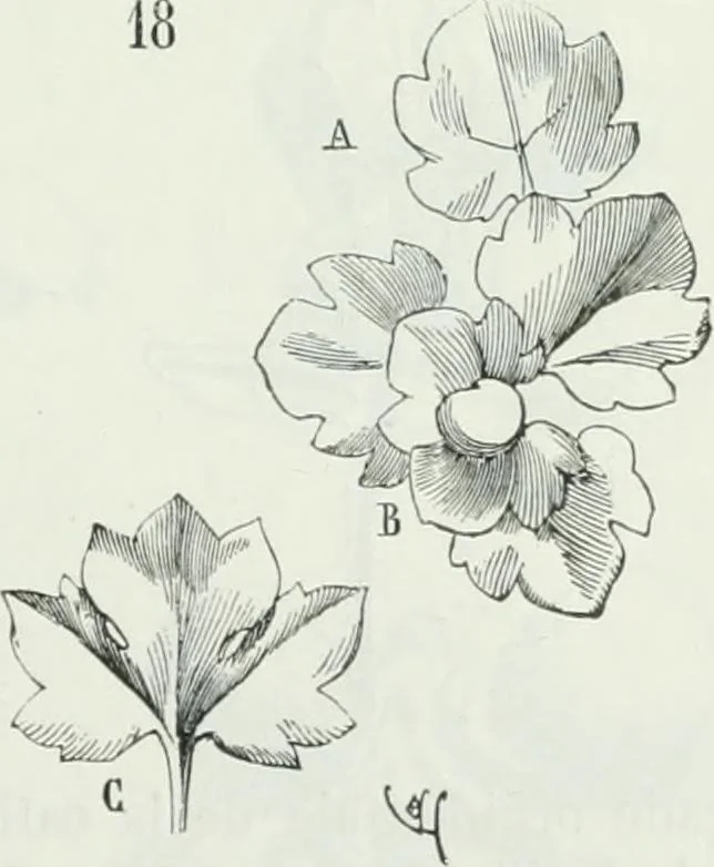 An illustration from Dictionnaire raisonné de l'architecture française du XIe au XVIe siècle, 1875, leaf 512