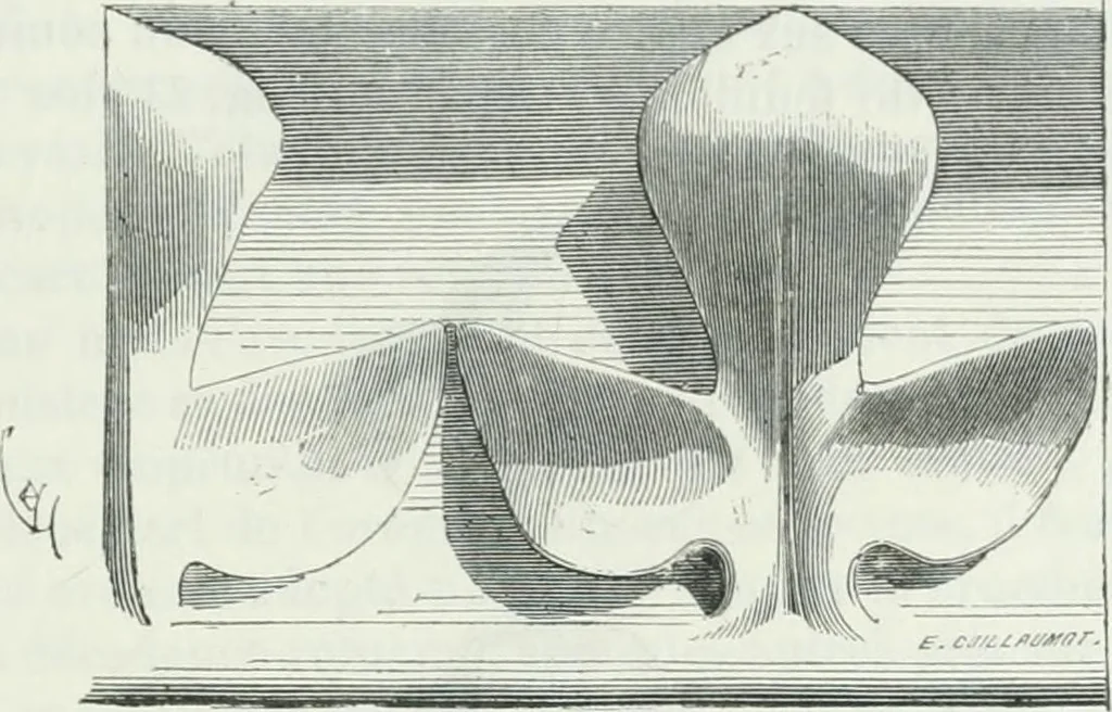 An illustration from Dictionnaire raisonné de l'architecture française du XIe au XVIe siècle, 1875, leaf 514