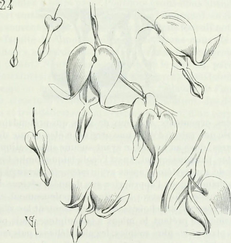 An illustration from Dictionnaire raisonné de l'architecture française du XIe au XVIe siècle, 1875, leaf 516