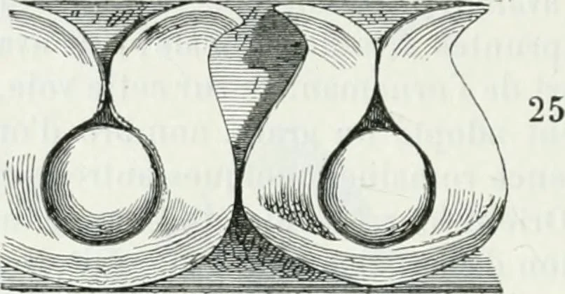 An illustration from Dictionnaire raisonné de l'architecture française du XIe au XVIe siècle, 1875, leaf 517