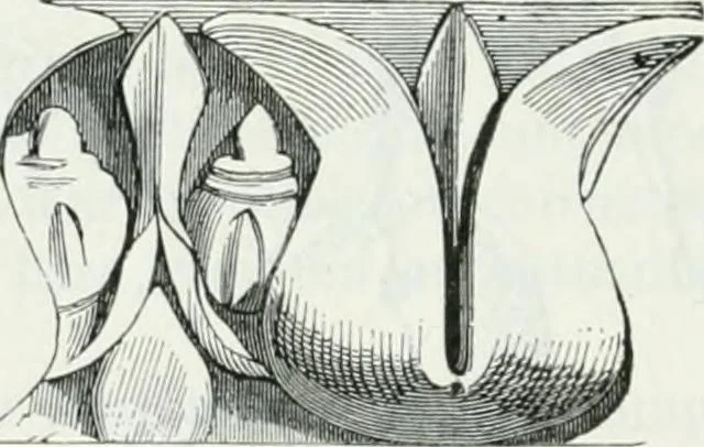 An illustration from Dictionnaire raisonné de l'architecture française du XIe au XVIe siècle, 1875, leaf 517