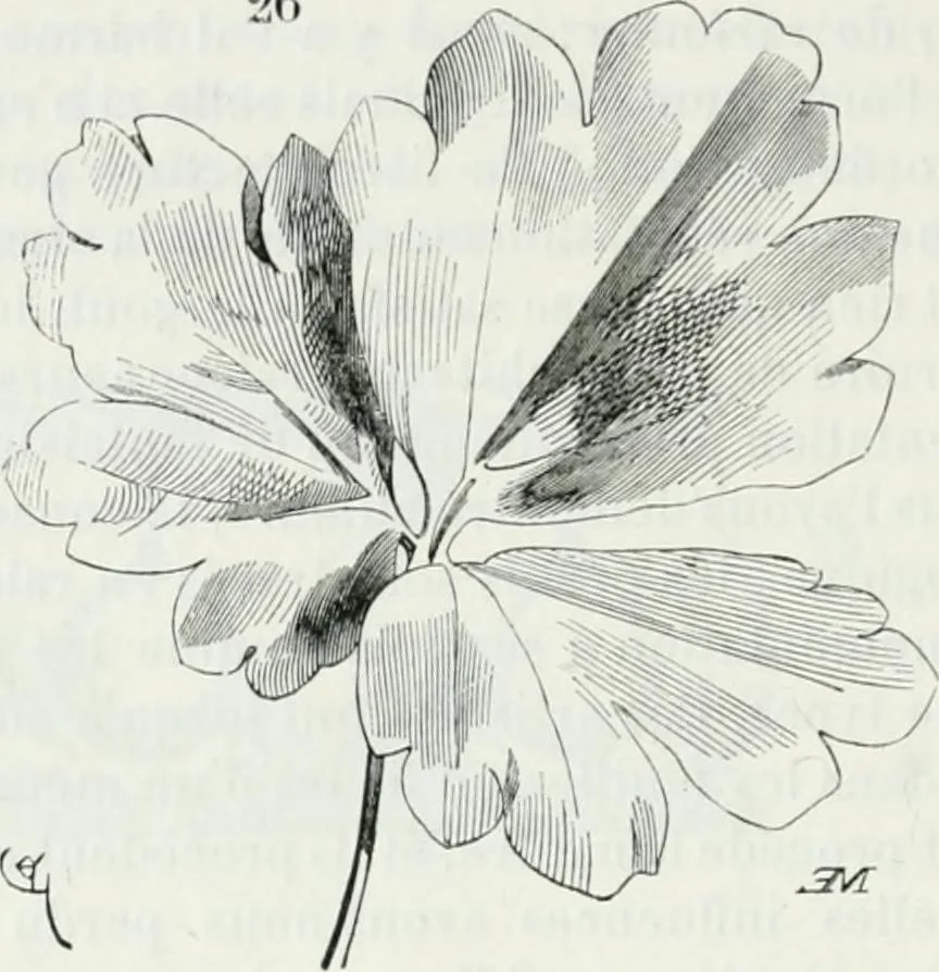 An illustration from Dictionnaire raisonné de l'architecture française du XIe au XVIe siècle, 1875, leaf 519