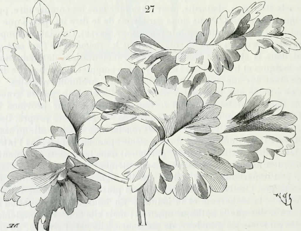 An illustration from Dictionnaire raisonné de l'architecture française du XIe au XVIe siècle, 1875, leaf 519