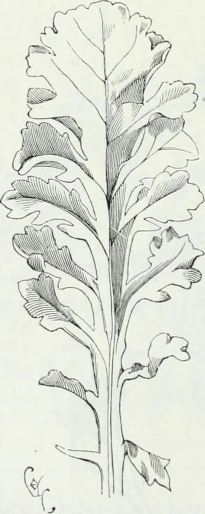 An illustration from Dictionnaire raisonné de l'architecture française du XIe au XVIe siècle, 1875, leaf 521