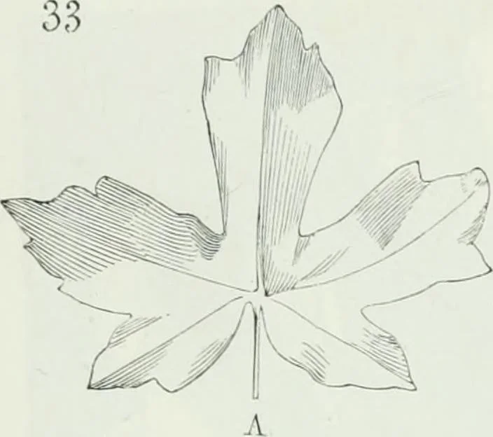 An illustration from Dictionnaire raisonné de l'architecture française du XIe au XVIe siècle, 1875, leaf 526