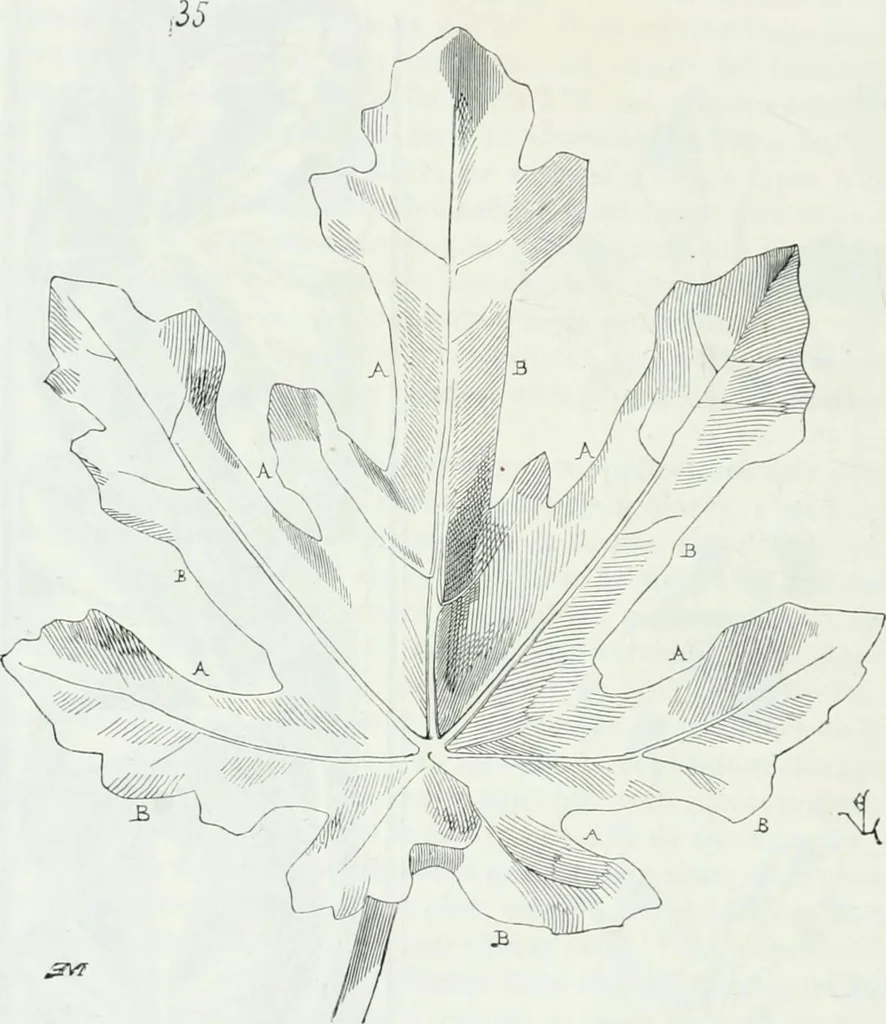 An illustration from Dictionnaire raisonné de l'architecture française du XIe au XVIe siècle, 1875, leaf 527
