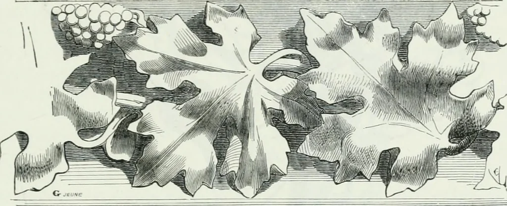 An illustration from Dictionnaire raisonné de l'architecture française du XIe au XVIe siècle, 1875, leaf 530