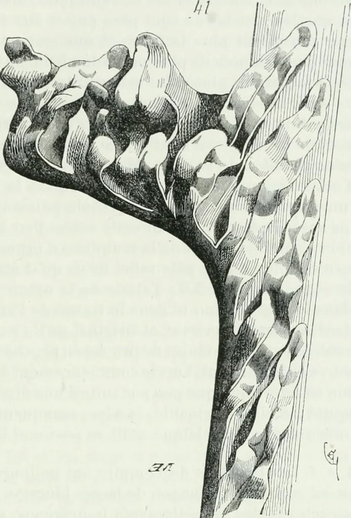 An illustration from Dictionnaire raisonné de l'architecture française du XIe au XVIe siècle, 1875, leaf 532