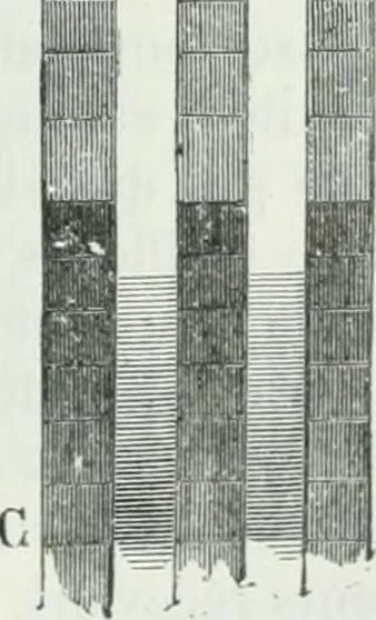 An illustration from Dictionnaire raisonné de l'architecture française du XIe au XVIe siècle, 1875, leaf 176