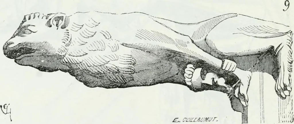 An illustration from Dictionnaire raisonné de l'architecture française du XIe au XVIe siècle, 1875, leaf 35
