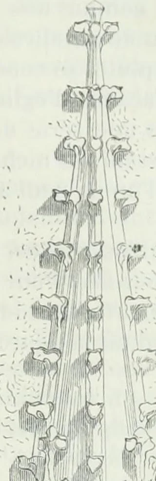 An illustration from Dictionnaire raisonné de l'architecture française du XIe au XVIe siècle, 1875, leaf 428
