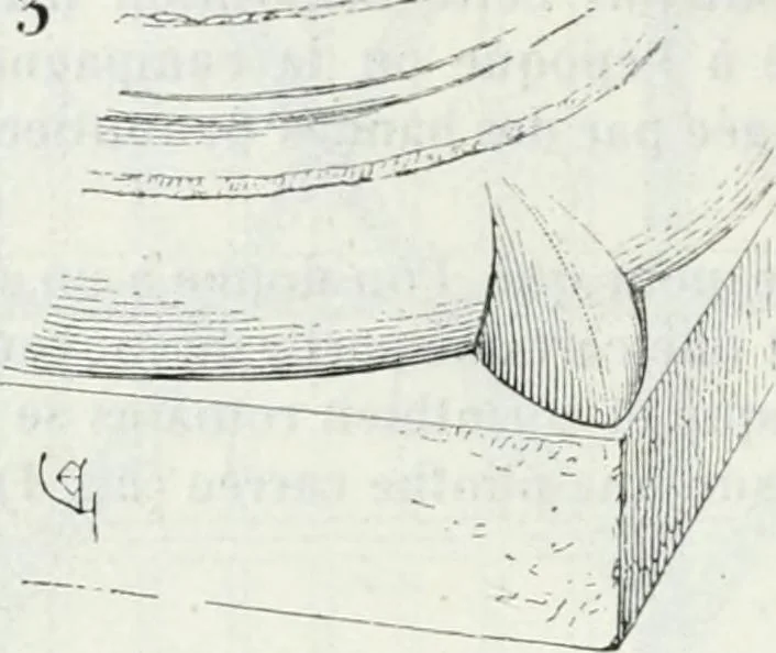 An illustration from Dictionnaire raisonné de l'architecture française du XIe au XVIe siècle, 1875, leaf 57