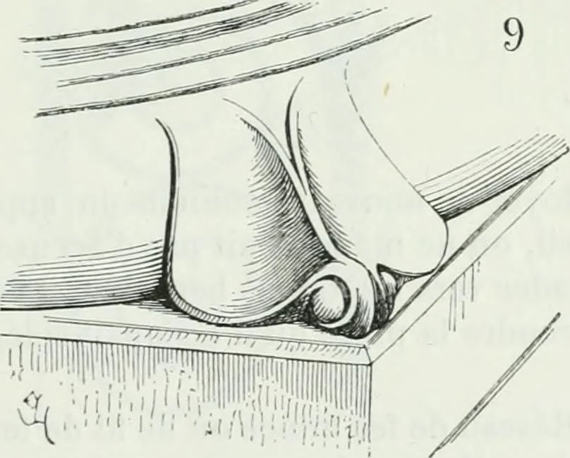 An illustration from Dictionnaire raisonné de l'architecture française du XIe au XVIe siècle, 1875, leaf 60