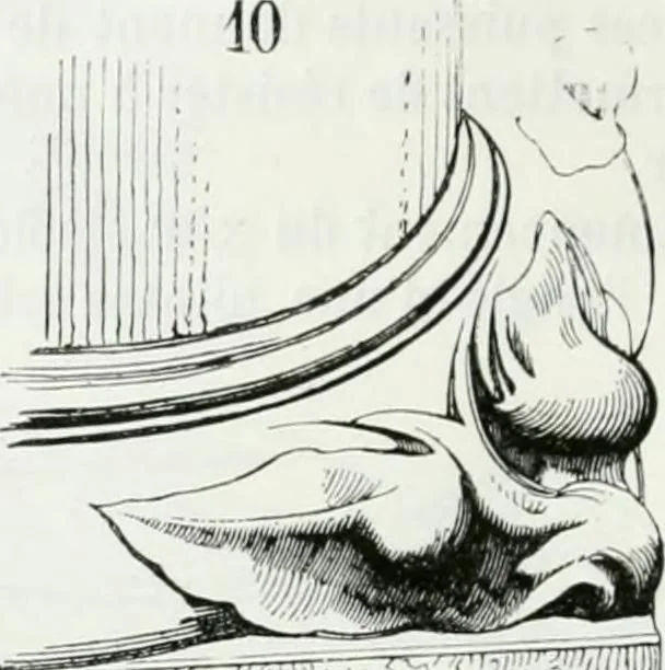 An illustration from Dictionnaire raisonné de l'architecture française du XIe au XVIe siècle, 1875, leaf 61
