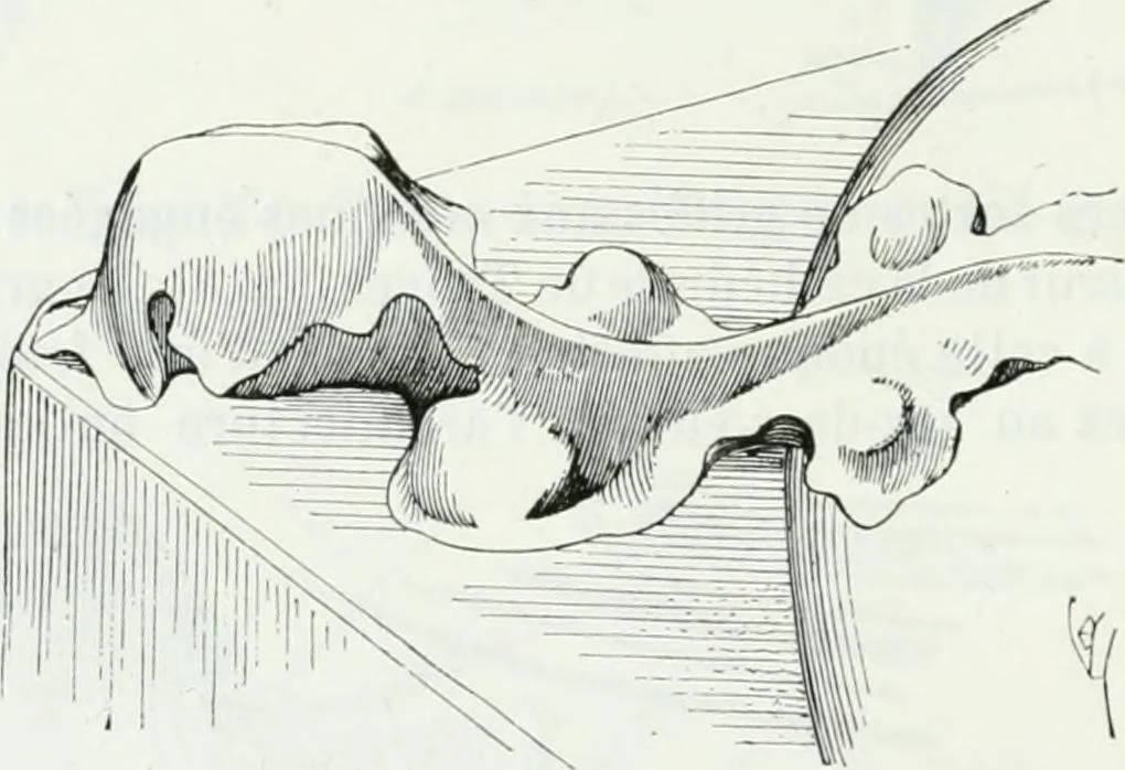 An illustration from Dictionnaire raisonné de l'architecture française du XIe au XVIe siècle, 1875, leaf 61