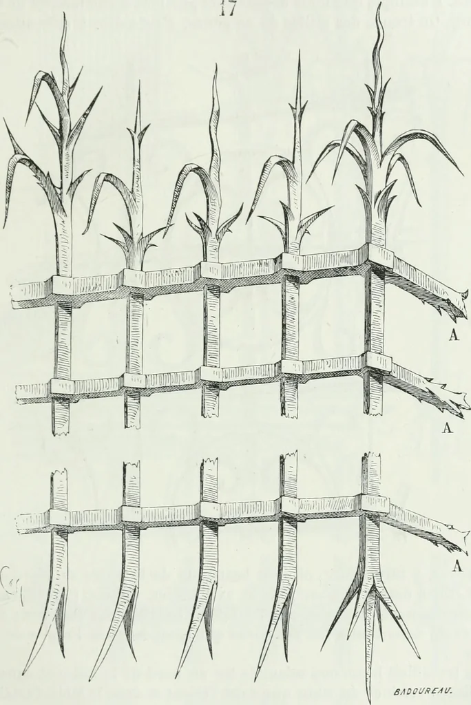 An illustration from Dictionnaire raisonné de l'architecture française du XIe au XVIe siècle, 1875, leaf 84