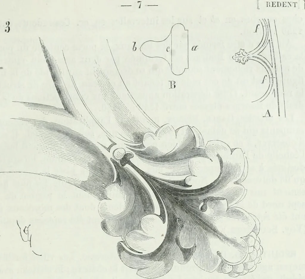 An illustration from Dictionnaire raisonné de l'architecture française du XIe au XVIe siècle, 1875, leaf 16