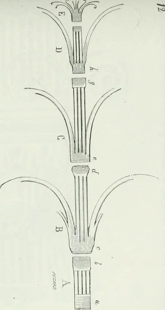 An illustration from Dictionnaire raisonné de l'architecture française du XIe au XVIe siècle, 1875, leaf 318