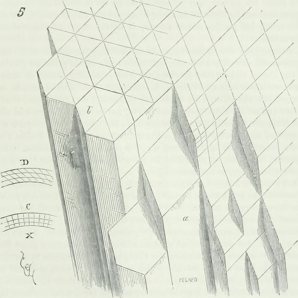 An illustration from Dictionnaire raisonné de l'architecture française du XIe au XVIe siècle, 1875, leaf 494