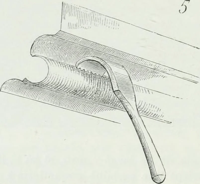 An illustration from Dictionnaire raisonné de l'architecture française du XIe au XVIe siècle, 1875, leaf 15