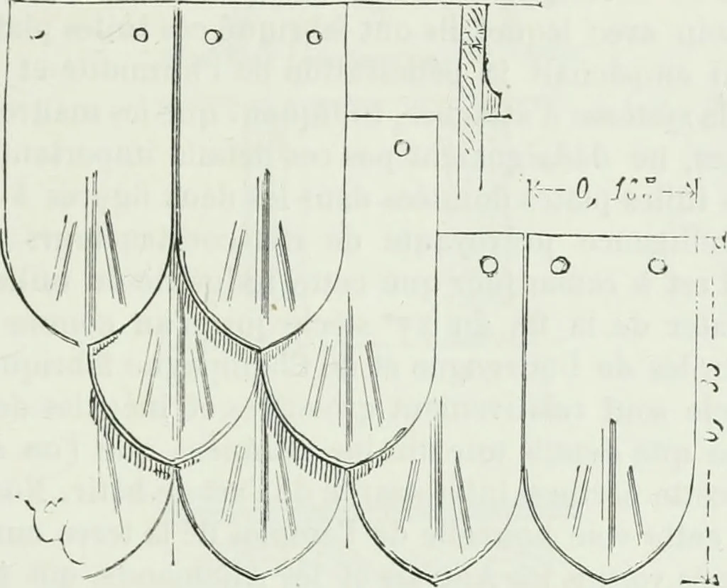 An illustration from Dictionnaire raisonné de l'architecture française du XIe au XVIe siècle, 1875, leaf 340