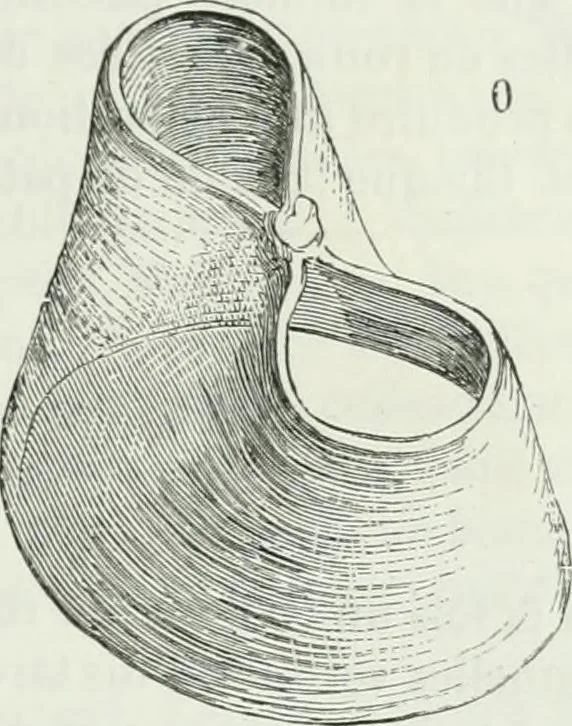 An illustration from Dictionnaire raisonné de l'architecture française du XIe au XVIe siècle, 1875, leaf 386