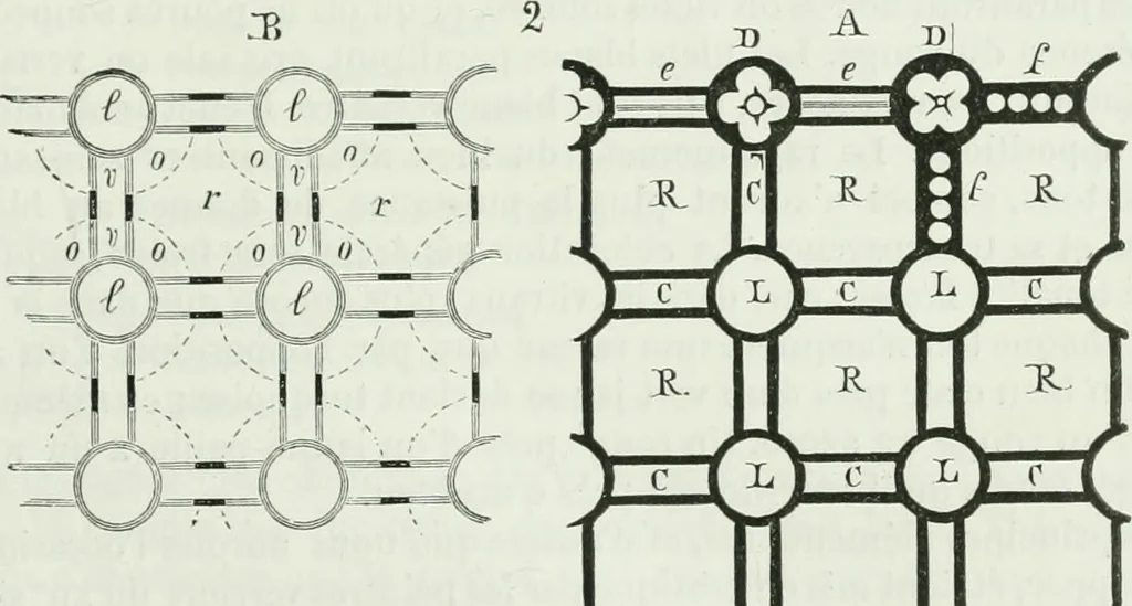 An illustration from Dictionnaire raisonné de l'architecture française du XIe au XVIe siècle, 1875, leaf 388